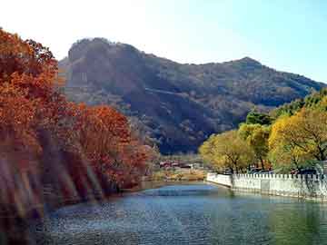 管家婆黑白马报图库，庄浪seo论坛